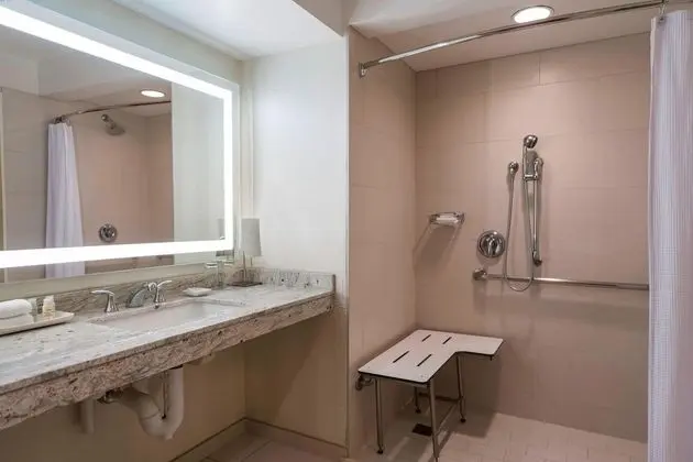 Executive Süit, 1 En Büyük (King) Boy Yatak ve Çekyat (Mobility Accessible, Roll-In Shower)