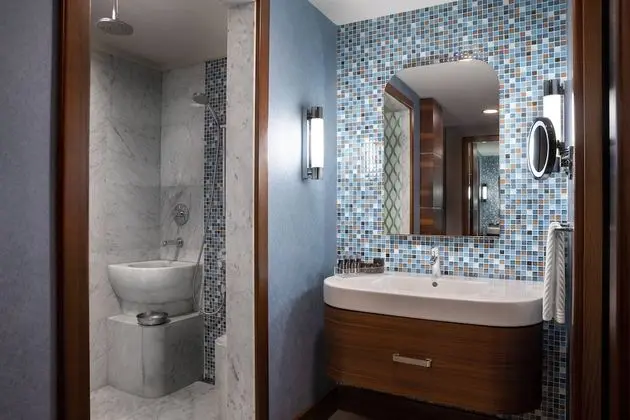 Deluxe Oda, 1 En Büyük (King) Boy Yatak, Sigara İçilmez, Şehir Manzaralı