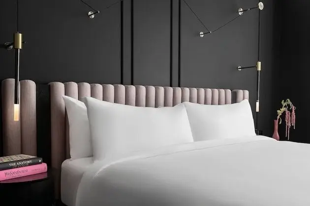 Premium Oda, 1 En Büyük (King) Boy Yatak, Sigara İçilmez