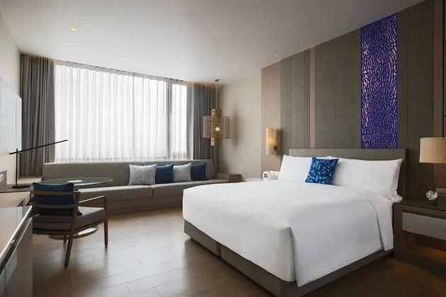 Deluxe Oda, 1 En Büyük (King) Boy Yatak, Sigara İçilmez, Şehir Manzaralı