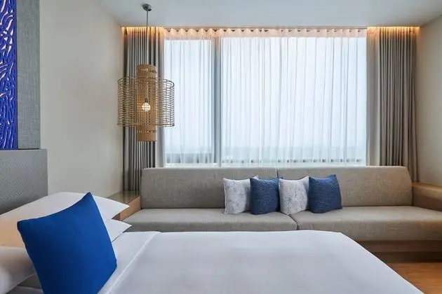 Deluxe Oda, 1 En Büyük (King) Boy Yatak, Sigara İçilmez, Şehir Manzaralı