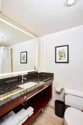 Club Oda, 1 En Büyük (King) Boy Yatak, Şehir Manzaralı