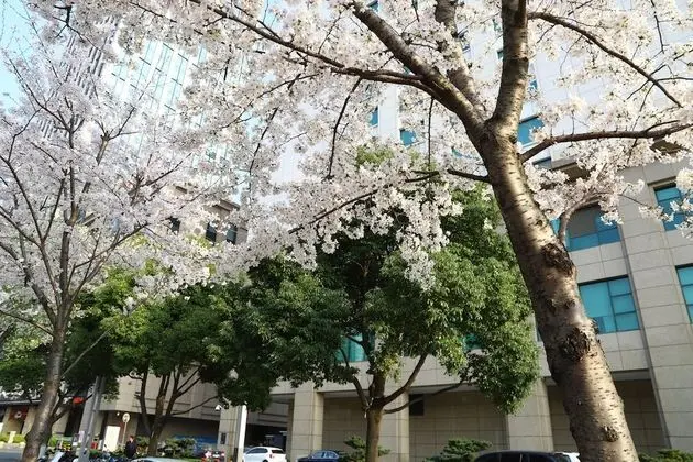 Oda, 2 Çift Kişilik Yatak, Şehir Manzaralı