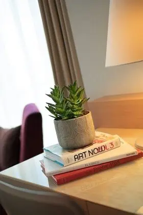 Junior Süit, 1 Yatak Odası