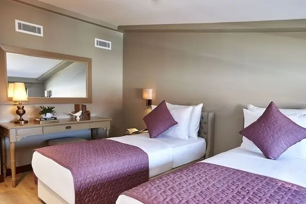 Penthouse King Suite With City View