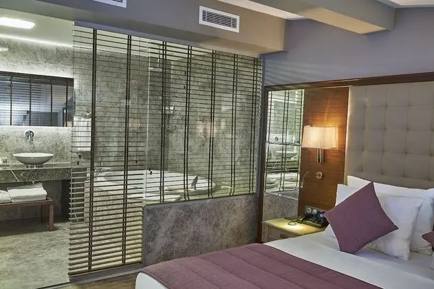 Penthouse King Suite With City View