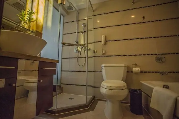 Superior Tek Büyük Yataklı Oda