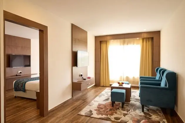 Deluxe Tek Büyük Yataklı Oda