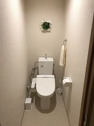 Ev