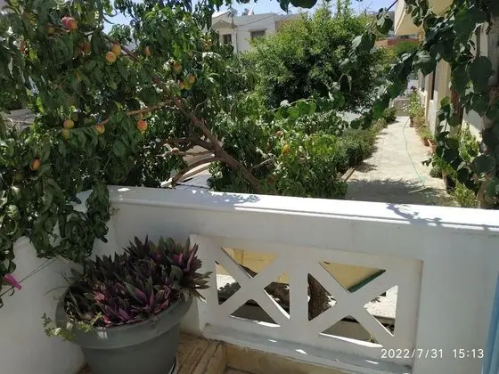 Stüdyo, 1 Yatak Odası, Balkon