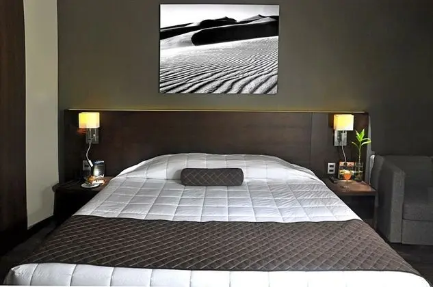 Tek Büyük Yataklı Oda, 1 Çift Kişilik Yatak