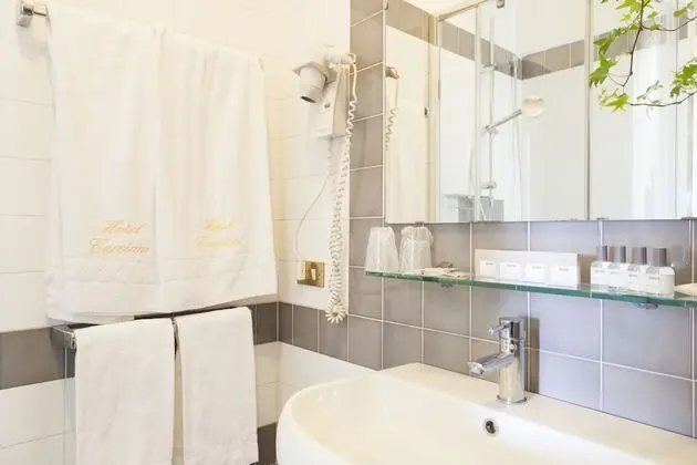 Panoramic Tek Büyük Yataklı Oda, 1 Çift Kişilik Yatak