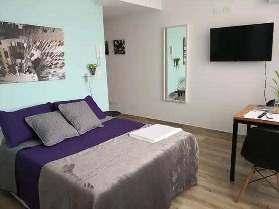 Standard Tek Büyük Yataklı Oda, 1 Büyük (Queen) Boy Yatak, Şehir Manzaralı