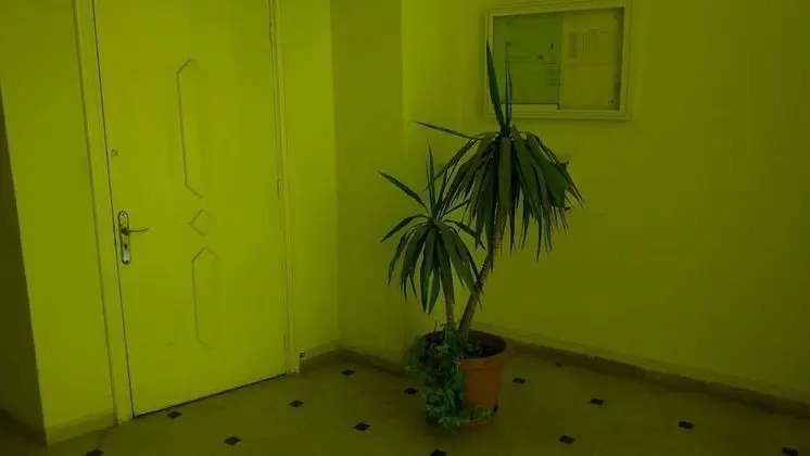Apart Daire, 3 Yatak Odası, Engellilere Uygun, Sigara İçilebilir