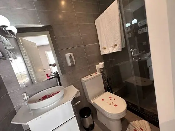 Çatı Katı Süiti (Penthouse)