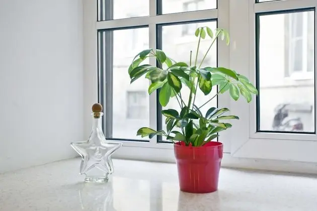 Apart Daire, 1 Büyük (Queen) Boy Yatak ve Çekyat, Sigara İçilmez, Şehir Manzaralı