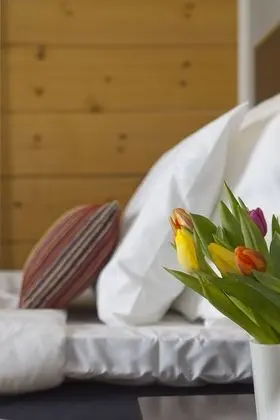 Standard İki Ayrı Yataklı Oda, 2 Tek Kişilik Yatak