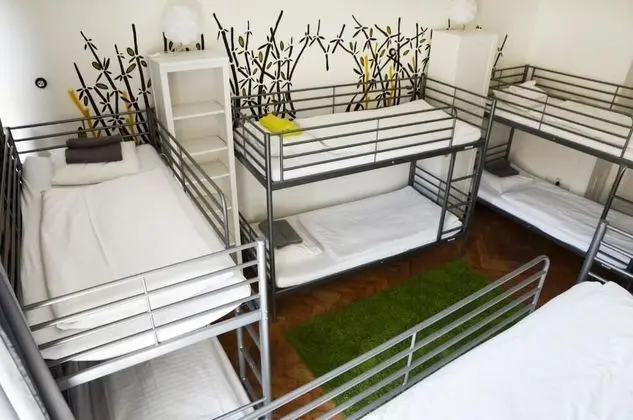 Ortak Ranzalı Oda (Kaktus, 8 beds)