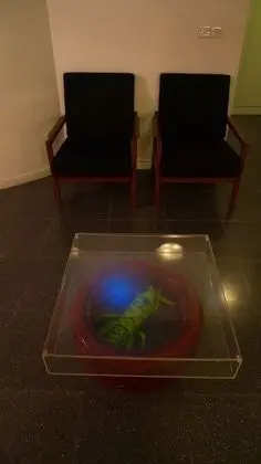 Süit