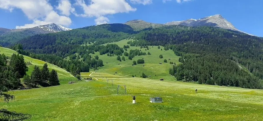 Süit, 1 Yatak Odası