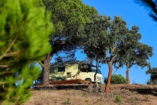 Amazing Camper Vans