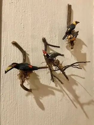 Basic Tek Büyük Yataklı Oda, Sigara İçilmez