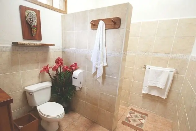 Deluxe Tek Büyük Yataklı Oda, Sigara İçilmez