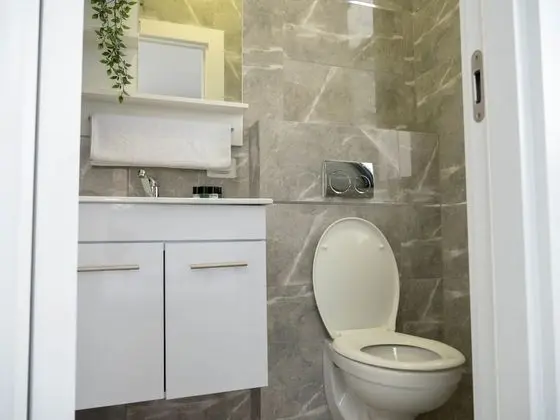 Deluxe Süit, 1 Çift Kişilik Yatak, Sigara İçilmez, Şehir Manzaralı