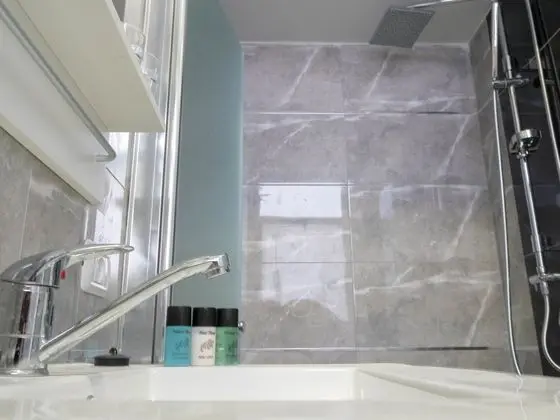 Deluxe Süit, 1 Çift Kişilik Yatak, Sigara İçilmez, Şehir Manzaralı