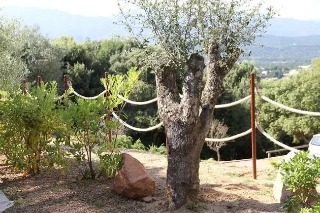Comfort Apart Daire, Banyolu/Duşlu, Deniz Manzaralı (T2)