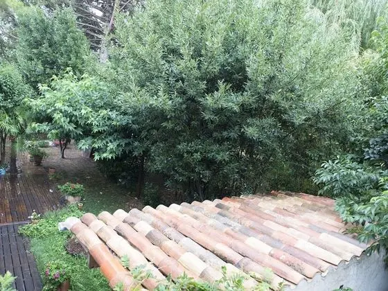 Apart Daire, Banyolu/Duşlu (Bahia)