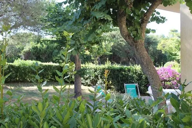 Suit Classic Garden View