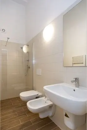 Süit