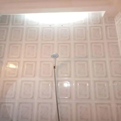 Traditional Stüdyo Süit