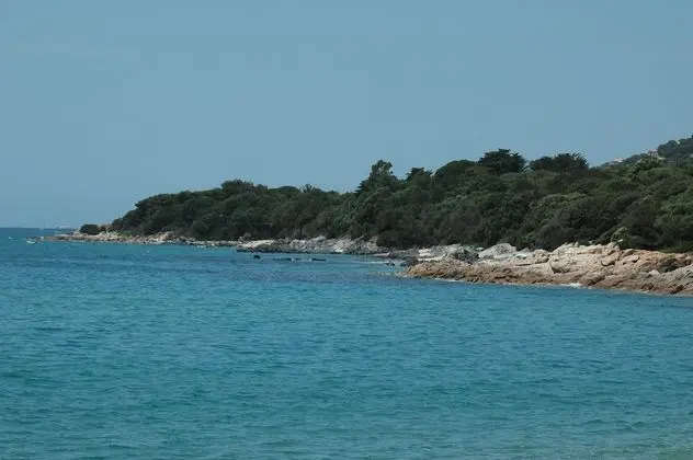 Family Villa (Ronces)