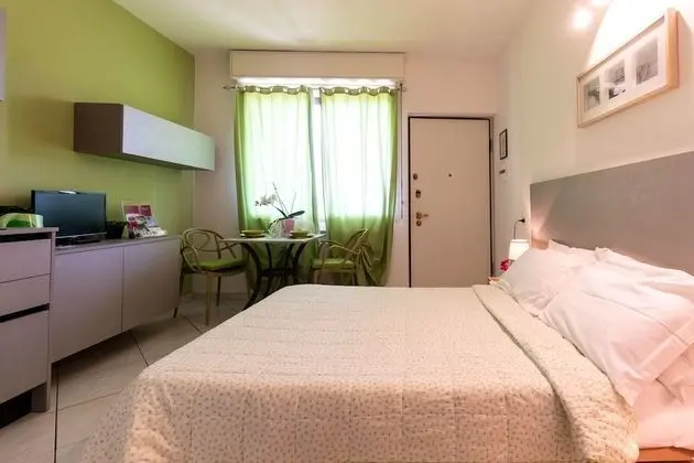 Stüdyo, 1 Çift Kişilik Yatak, Küçük Mutfak, Göl Manzaralı