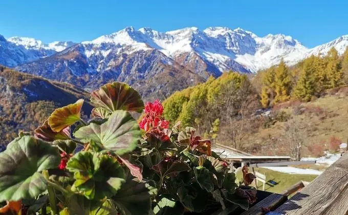 Panoramic Stüdyo (6)