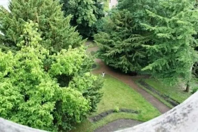 Comfort Tek Büyük Yataklı Oda (Mozart)