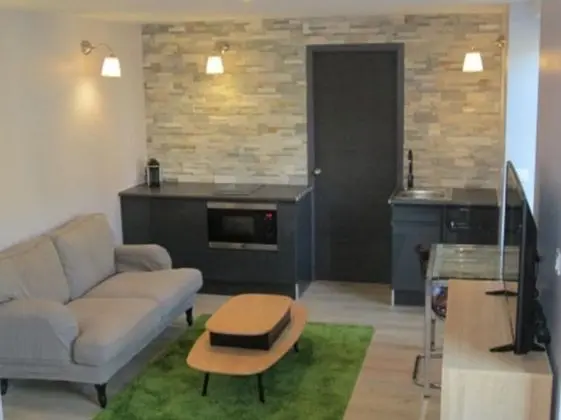 Comfort Apart Daire, 1 Yatak Odası, Sigara İçilmez, Mutfak
