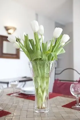 Villa, 2 Yatak Odası