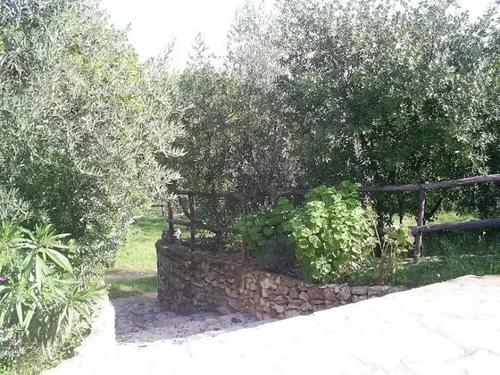 Stüdyo