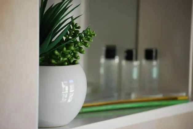 Superior Apart Daire, 1 Yatak Odası