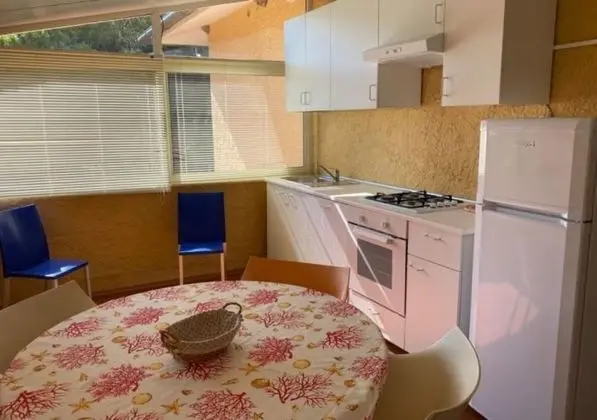 Çatı Katı Süiti (Penthouse), 1 Yatak Odası, Teras