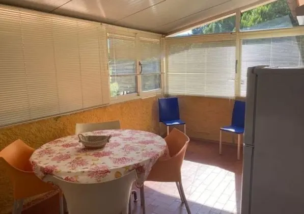 Çatı Katı Süiti (Penthouse), 1 Yatak Odası, Teras