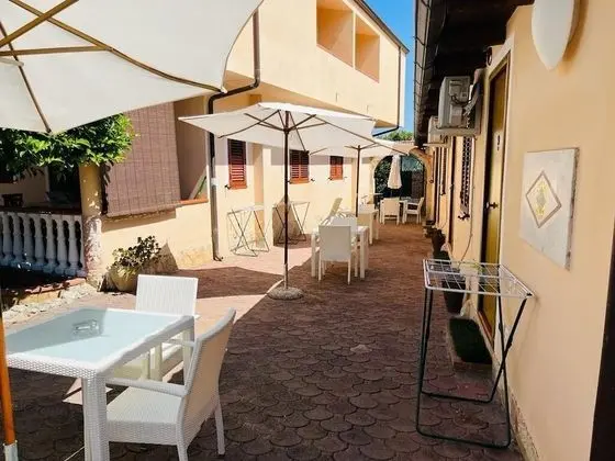 Basic Stüdyo