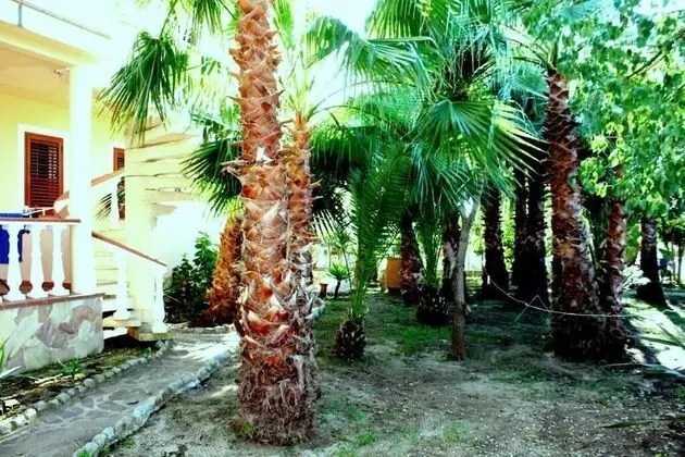 Basic Stüdyo