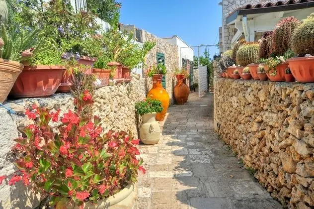Apart Daire, 1 Yatak Odası (Apartment A)