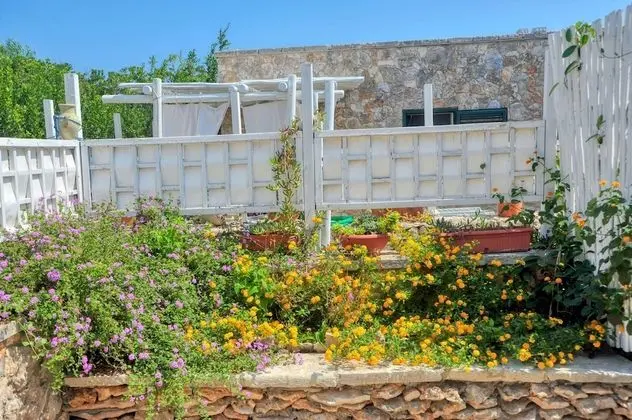 Apart Daire, 1 Yatak Odası (Apartment C)