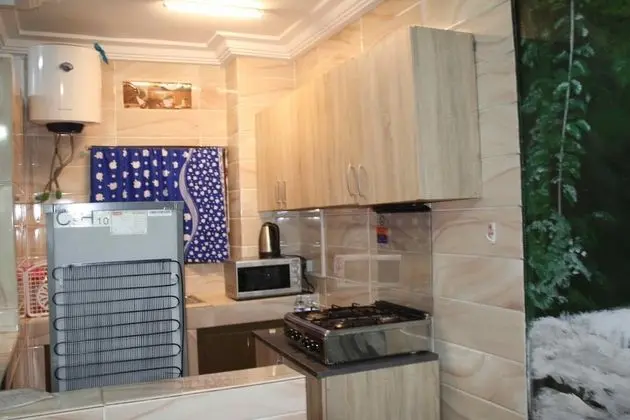 Business Apart Daire, 1 En Büyük (King) Boy Yatak