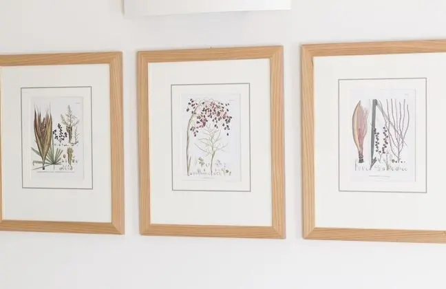 Luxury Süit, 1 Yatak Odası, Özel Banyo